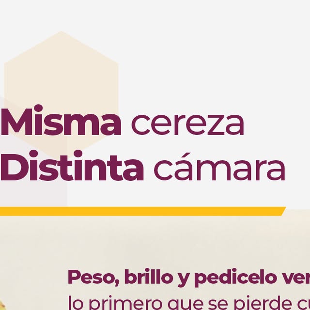 Placa de Rodin: “Misma cereza, distinta cámara”